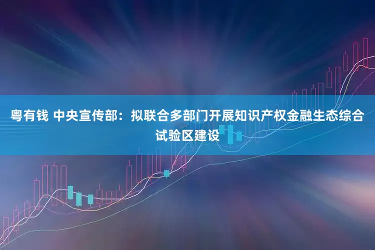 粤有钱 中央宣传部：拟联合多部门开展知识产权金融生态综合试验区建设
