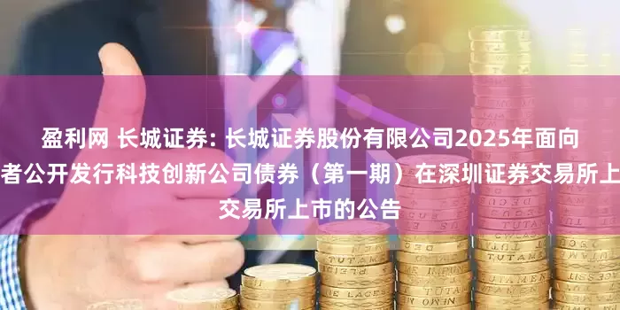 盈利网 长城证券: 长城证券股份有限公司2025年面向专业投资者公开发行科技创新公司债券（第一期）在深圳证券交易所上市的公告