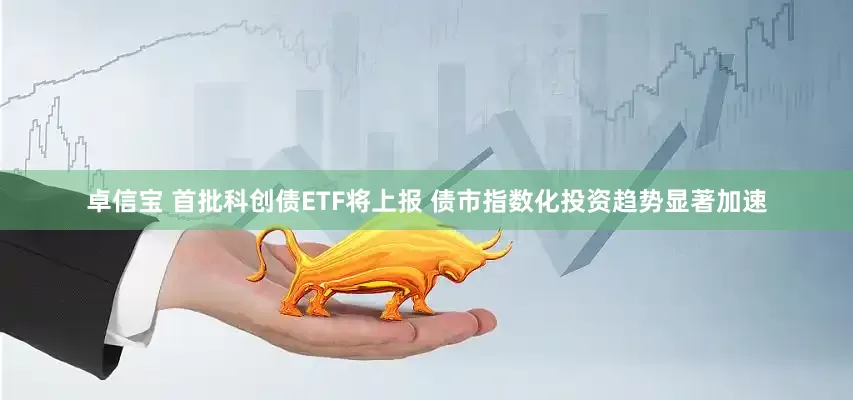 卓信宝 首批科创债ETF将上报 债市指数化投资趋势显著加速