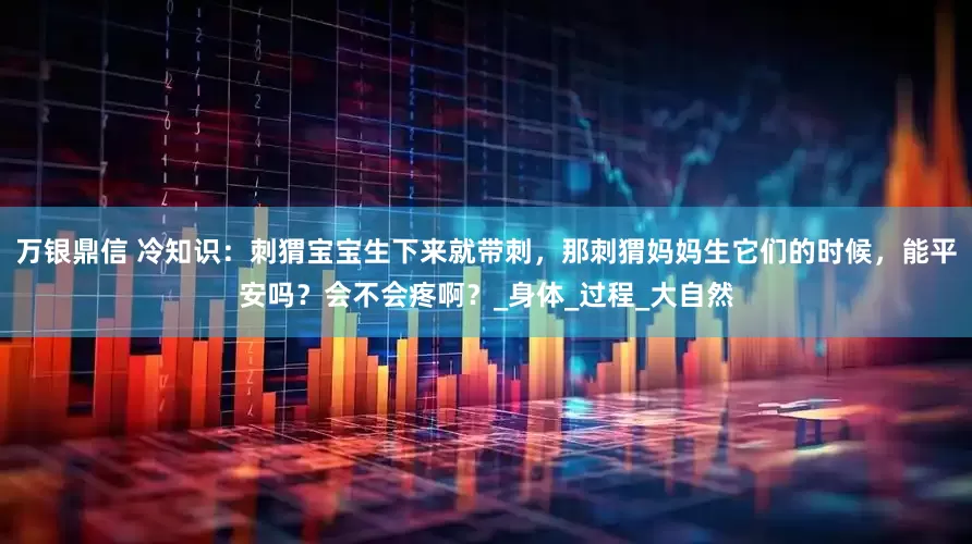 万银鼎信 冷知识：刺猬宝宝生下来就带刺，那刺猬妈妈生它们的时候，能平安吗？会不会疼啊？_身体_过程_大自然