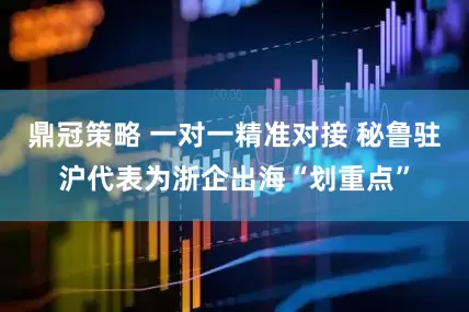 鼎冠策略 一对一精准对接 秘鲁驻沪代表为浙企出海“划重点”