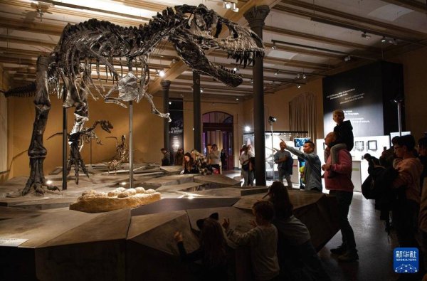 九融配资端 柏林：博物馆里的科学“校园”