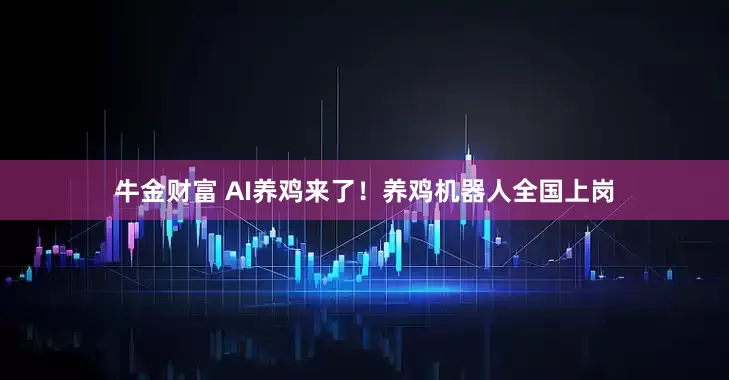 牛金财富 AI养鸡来了！养鸡机器人全国上岗